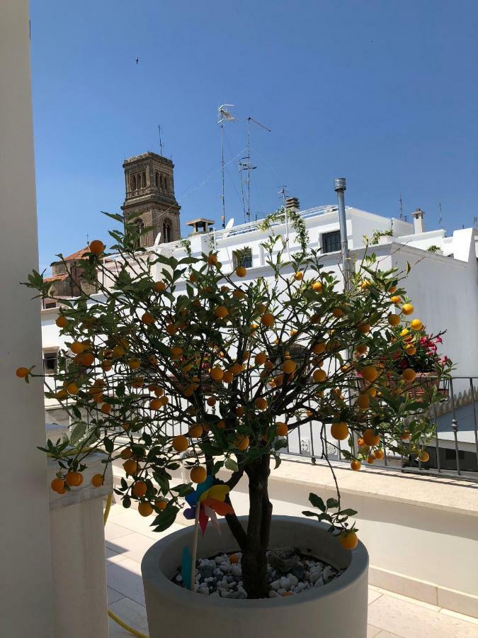 Palazzotto "Fasano Antica" 아파트 외부 사진